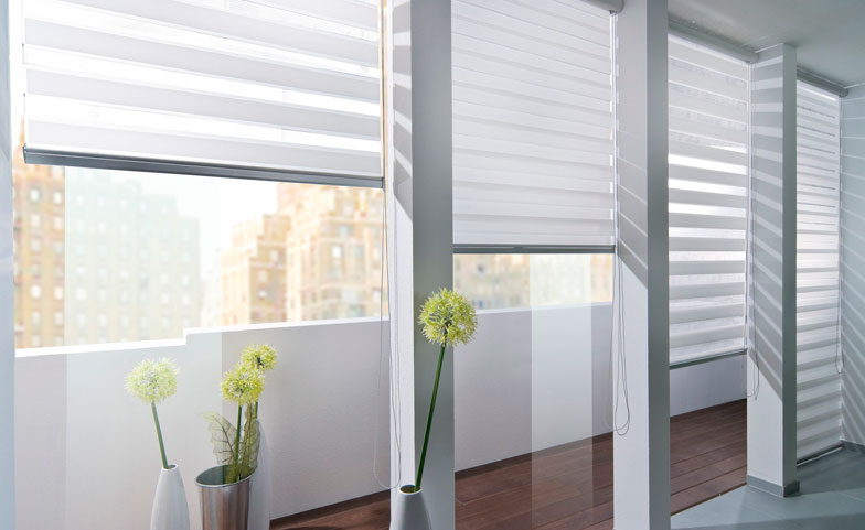 Рольшторы День-ночь (Зебра)