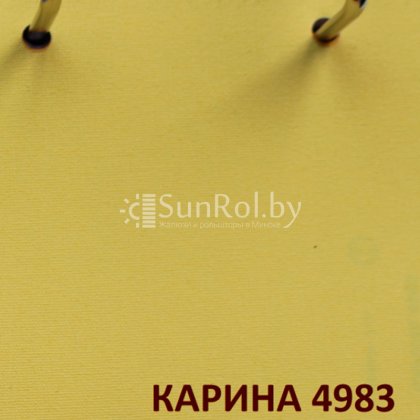 Рулонные шторы Карина 4983